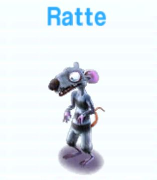 Ratte             